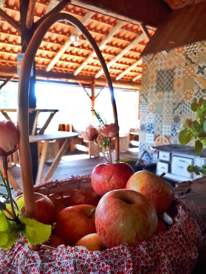 Fazenda Invernada Grande Turismo Rural Bom Jardim da Serra Eksteriør bilde