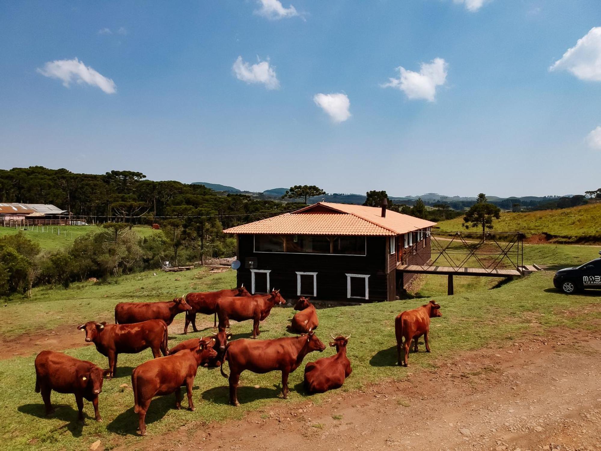 Fazenda Invernada Grande Turismo Rural Bom Jardim da Serra Eksteriør bilde